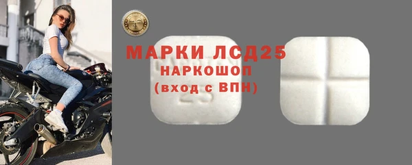 крисы Алзамай