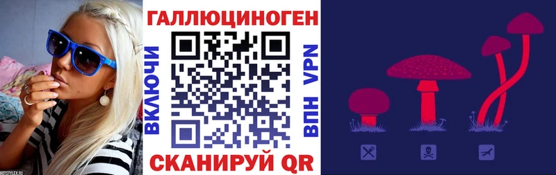 цены   Инсар  Галлюциногенные грибы Magic Shrooms 